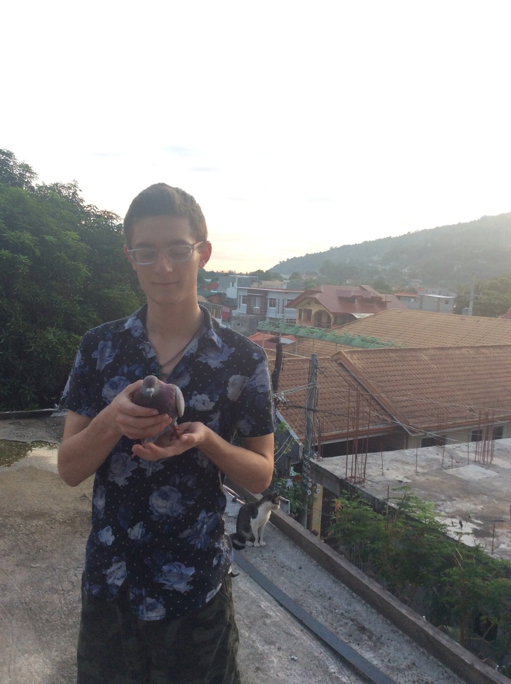 image-2-5